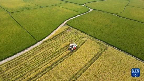 奋进新征程 建功新时代｜凝心聚伟力 奋进谱华章——写在共和国73周年华诞之际