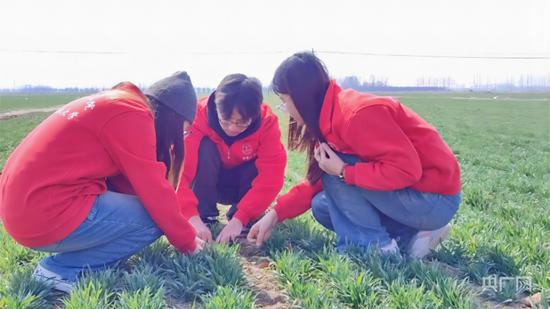 【记嘱托·识校训·践青春】“自找苦吃” 在田间地头书写青春