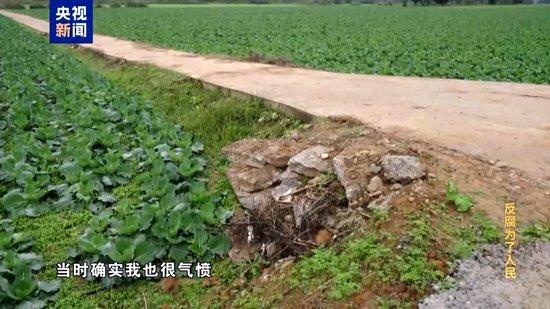 项目招标到验收全流程“走后门” 面对镜头他忏悔“罪有应得”