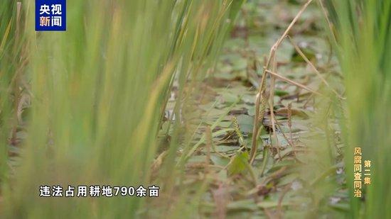 崔茂虎奢靡享乐!牌瘾大到毫不避讳 沉醉于和商人老板推杯换盏