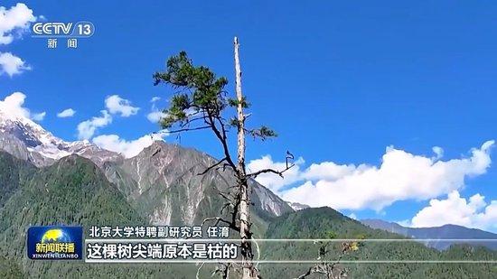 感知生态之变丨我国成为全球增绿最多最快的国家