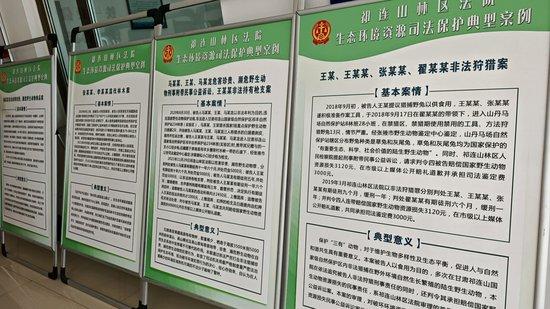 e法耀陇原 | 天光染绿处 法治护祁连