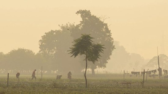 新德里干了件50年来从未有过的大事，结果成了代价高昂的奇观