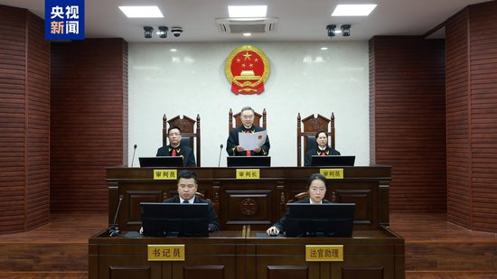 十三届全国政协经济委员会副主任张效廉一审获刑12年