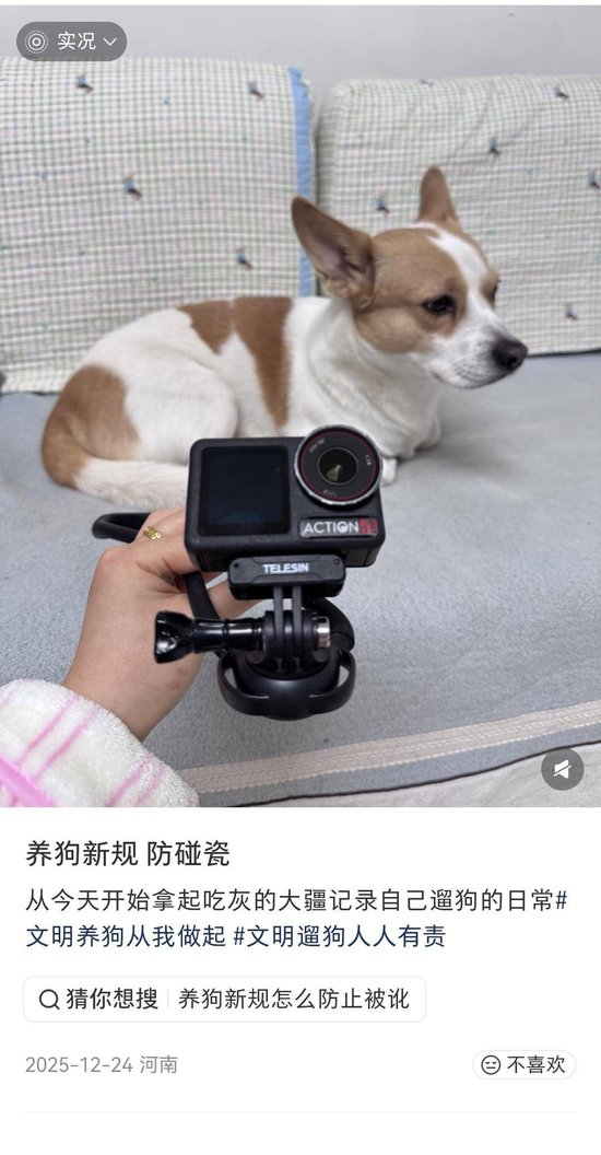 “史上最严”养犬新规今起施行 养犬人自研遛狗神器防被讹