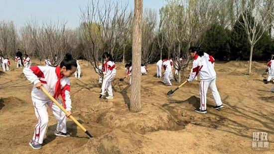 时政新闻眼丨再次参加首都义务植树活动，习近平强调绿化祖国要三者并举