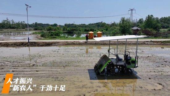 微视频|看广袤乡村新面貌 绘乡村振兴锦绣图