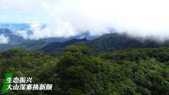 微视频|看广袤乡村新面貌 绘乡村振兴锦绣图
