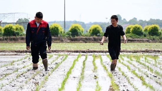微视频|看广袤乡村新面貌 绘乡村振兴锦绣图