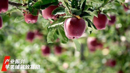 微视频|看广袤乡村新面貌 绘乡村振兴锦绣图