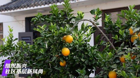 微视频|看广袤乡村新面貌 绘乡村振兴锦绣图