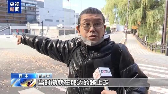 日本“熊灾”有多严重?连自卫队都出动打熊了!