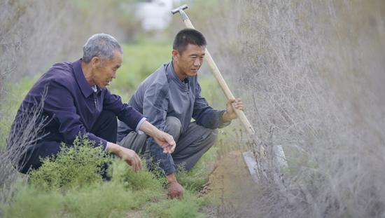 思想的力量丨离沙漠“八步”的村庄