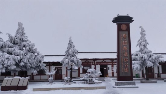 多地国庆长假花式“宠客”:外地车只纠违不罚款,停车场和公交车全免费,机关食堂对外开放