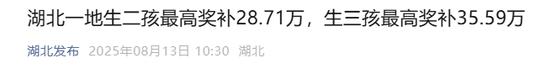 生二孩最高奖补28.71万,生三孩最高奖补35.59万!湖北一地宣布