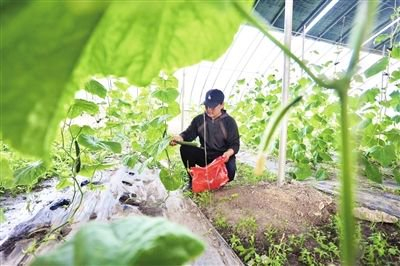 解码“大地艺术”如何激活乡村振兴新动能