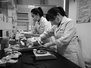 端午将至 粽子咸蛋能放心吃吗?