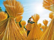 走过代表委员通道 他们——通民情 道民声