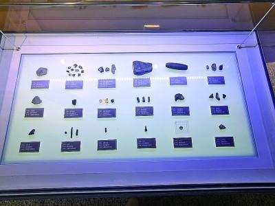 展出的文物 天津自然博物馆供图