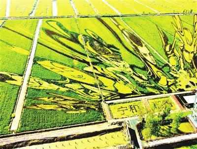 解码“大地艺术”如何激活乡村振兴新动能