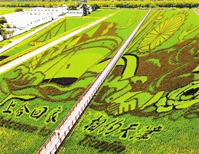 解码“大地艺术”如何激活乡村振兴新动能
