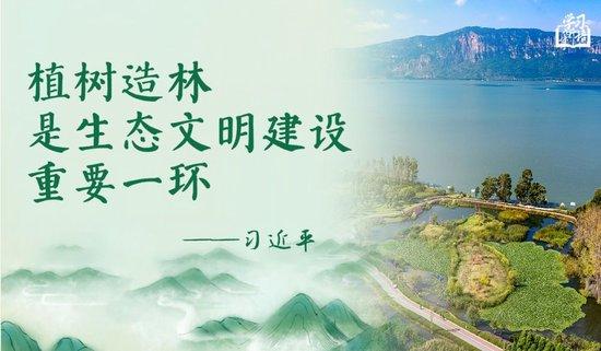 学习新语|“义务植树是全民行动”