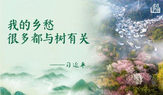 学习新语|“义务植树是全民行动”