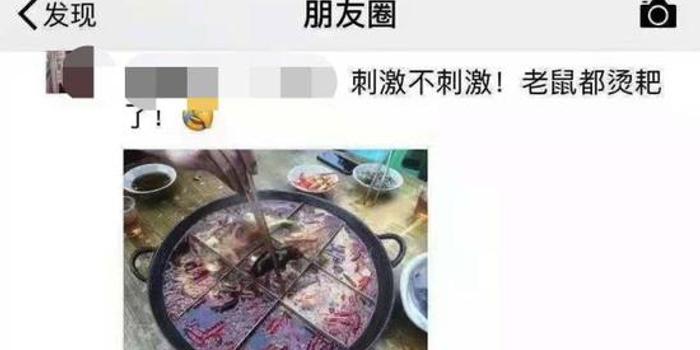 重庆知名火锅店吃出老鼠 店方:还在调查