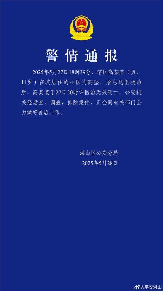 武汉一11岁男孩坠亡,警方通报:排除案件
