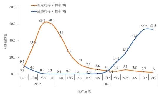 图2-5 全国哨点医院流感样病例新冠和流感病毒阳性率变化趋势(数据来源于402家网络实验室)