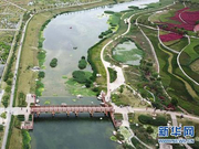 壮美新广西：生态优势金不换