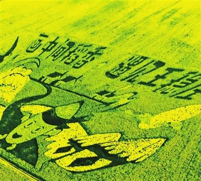 解码“大地艺术”如何激活乡村振兴新动能