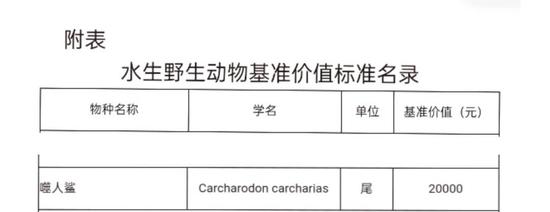 烹食噬人鲨的网红博主视频账号被封禁，拥有百万粉丝 最后一场直播提前下播