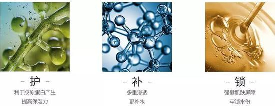 ▲当然,把海藻拍成这样,显得比较有科技感