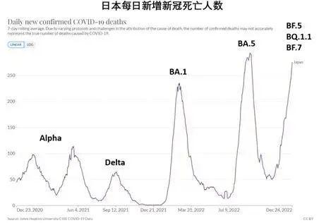 医护人员这一幕，直接看哭了！各地重症高峰陆续到来 “新冠预测者”最新分析