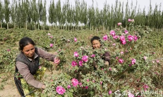 年终特稿·回望2025⑫丨南疆之变