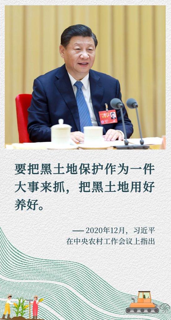镜观·回响|像保护大熊猫一样保护黑土地