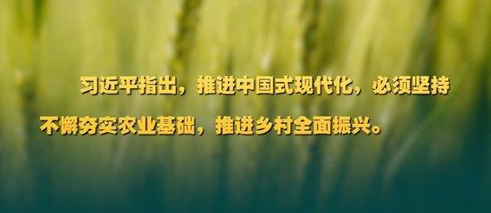 微视频｜如何做好“三农”工作？习近平作出重要指示