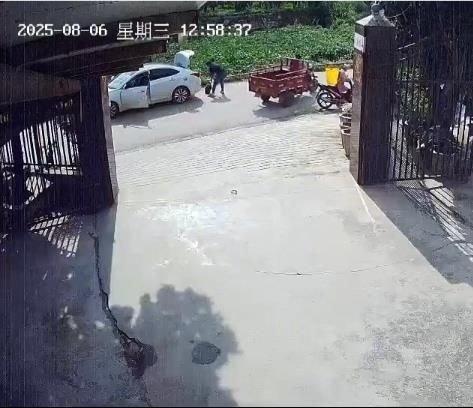 养了三十多年的鳄龟被过路司机抱走,主人恳求“不要杀它”,警方介入