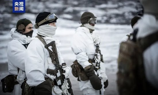 法国马克龙、加拿大卡尼纷纷入局格陵兰岛,多情剑客无情剑!
