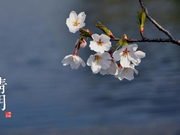 在缅怀中积蓄更多前行的精神力量