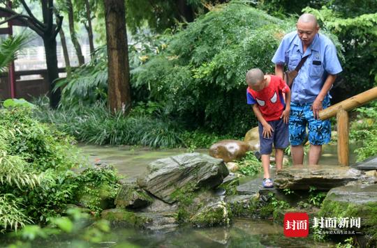 8月7日,成都活水公园,冯军带着儿子玩耍。