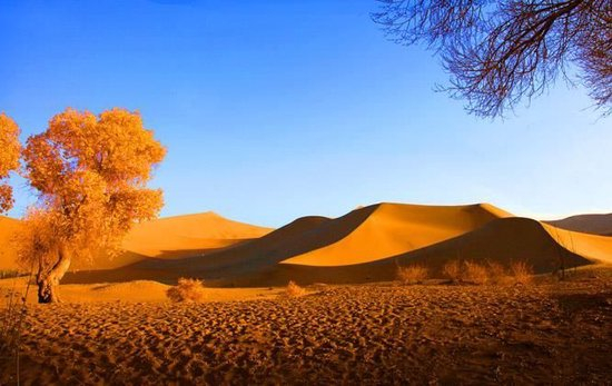 多地国庆长假花式“宠客”:外地车只纠违不罚款,停车场和公交车全免费,机关食堂对外开放