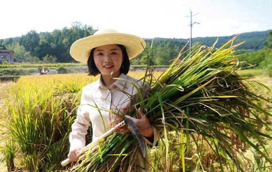 2022年秋收时节，邓小燕在稻田拍摄宣传视频。受访者供图