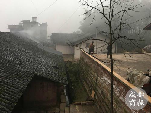 中间白色土墙的房子,就是赵平安一家的居所。