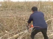 打响洞庭湖环境“保卫战” 保护碧水蓝天