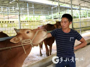 【新时代 新气象 新作为】长顺：往昔贫困户 今日“致富人”