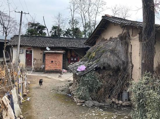 案件发生后,王母杨桂英被亲戚接走离村,破败的土坯房无人居住,只剩一只铁链拴住的田园犬,对着过往路人狂吠。