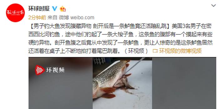 组钓鱼发现腹藏异物 剖开发现一条鱼还活蹦乱跳