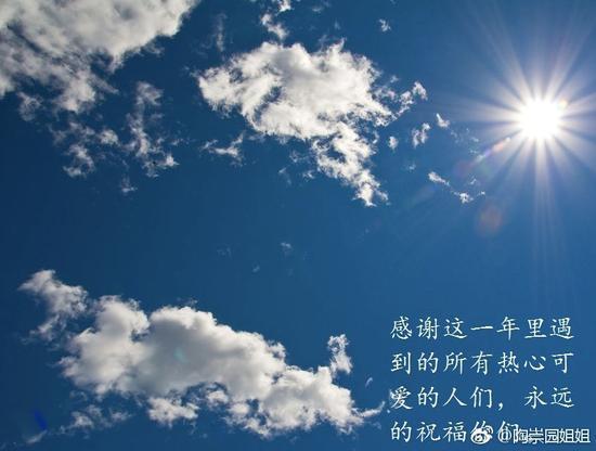陶晓在微博中感谢这一年中帮助过自己的人。图 / 微博@陶崇园姐姐